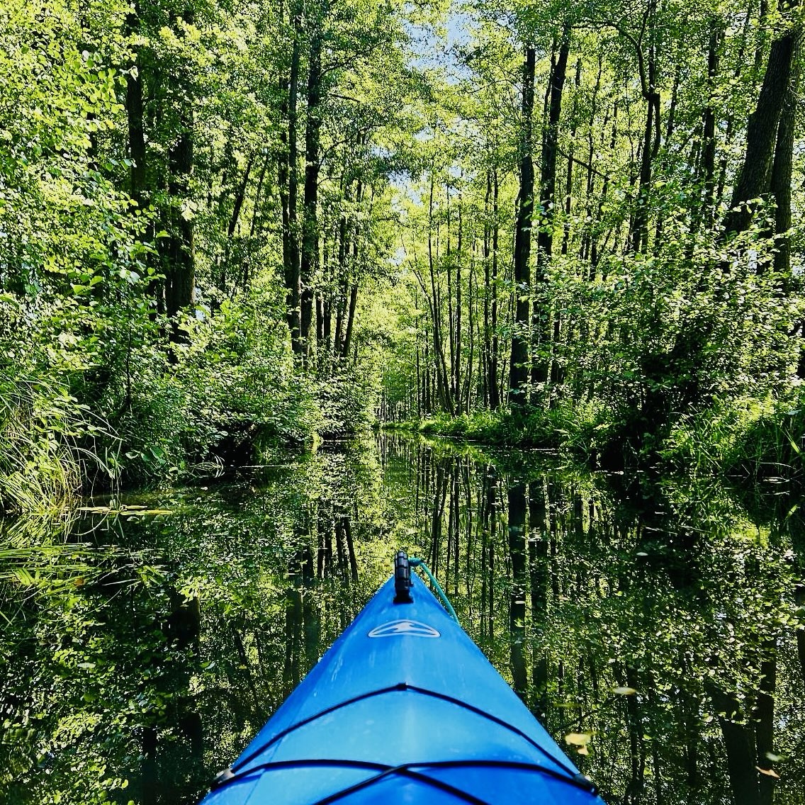 Vom Büro aufs Boot - unser Teamausflug 2025 im Spreewald